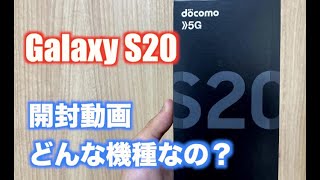 GalaxyS20 ドコモ SC-51A 開封から写真 カメラ撮影