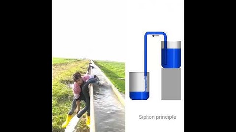 Siphon for irrigation | Siphon principle