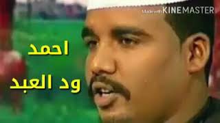 احمد ود العبد شباب اليوم