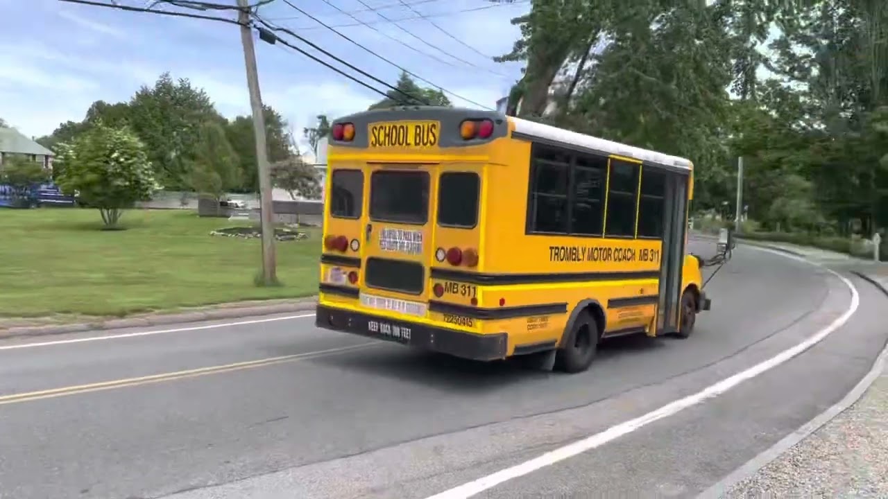 2019 Chevy Collins MB331 School Bus