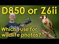 Why I have started using my Nikon D850 for wildlife photography instead of my Z6ii.