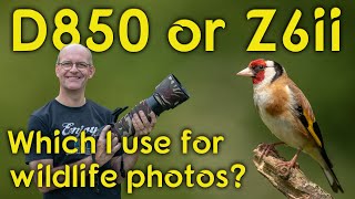 Why I have started using my Nikon D850 for wildlife photography instead of my Z6ii.