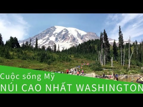 Video: Làm thế nào để xem Núi Rainier ở Seattle