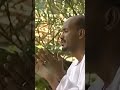 طيبة دار الصوفي عصام محمد نور مديح Sahoor المدينة المنورة سيرة مدائح Prophet Mohammed ساهور 
