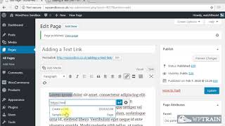 Adding a Text Link to WordPress