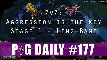 ZvZ - Aggression is the Key - Stage 1 - Ling-Bane - The PiG Daily #177