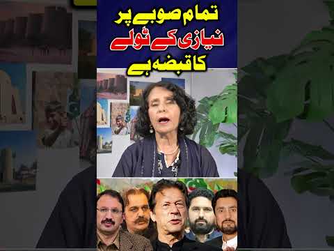 تمام صوبے پر نیازی کے ٹولے کا قبضہ ہے