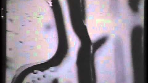 1992 Henry Darcy Lecture Series - John Wilson (part 2)