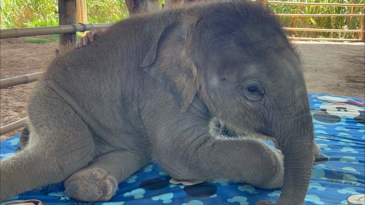 หนูครบ3เดือนแล้วค่ะ