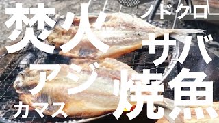 【焚火】魚の干物を焼いて食う※ノドグロ、サバ、アジ、カマス｜最後はお茶漬け｜CAZUキャンプ場