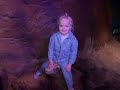 A rainy day at Colchester zoo 16th February 2026