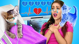 🙀🆘 Save This Tiny Cat! Secret Hacks \& Gadgets for Pet Owners by La La life