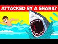 Do These Things To Survive A Shark Attack
