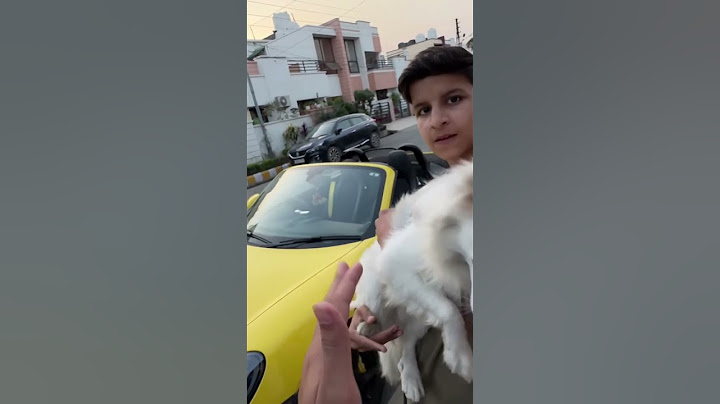 Oreo Ko Super Car Mein Bitha Diya 😍 1 st time #shorts