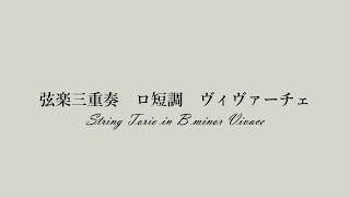 【オリジナル曲】弦楽三重奏　ロ短調　ヴィヴァーチェ