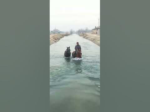 точикистон Tajikistan Romit - YouTube