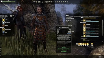 Elder Scrolls Online: Restoring Light Skill line