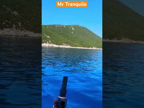 sailing in the