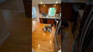From Carpet to Luxury Hardwood 🔥- #hardwood #flooring #qualityflooring #bona