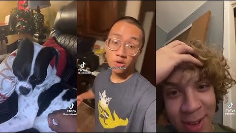 tiktoks that actually made me laugh PART 12