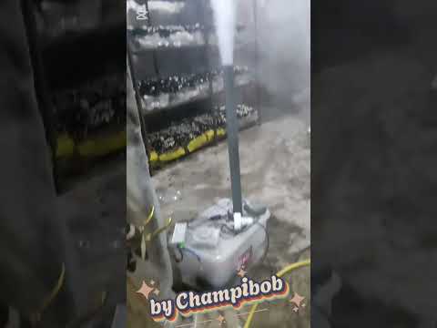 جهاز رطوبة منزلي لزراعة الفطر   فطر زراعة  