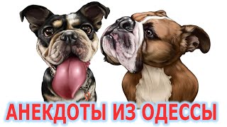 Украинские анекдоты про Маму и Сына;) Анекдоты из Одессы №302