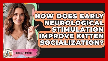 How Does Early Neurological Stimulation Improve Kitten Socialization? - Happy Cat Handbook