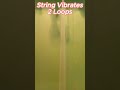 Standing Waves #physicsconcepts #ytshorts #youtubeshorts #viralvideo  #learnphysics #mostimportant