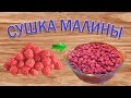 Как сушить ягоды малины? Малиновая пастила