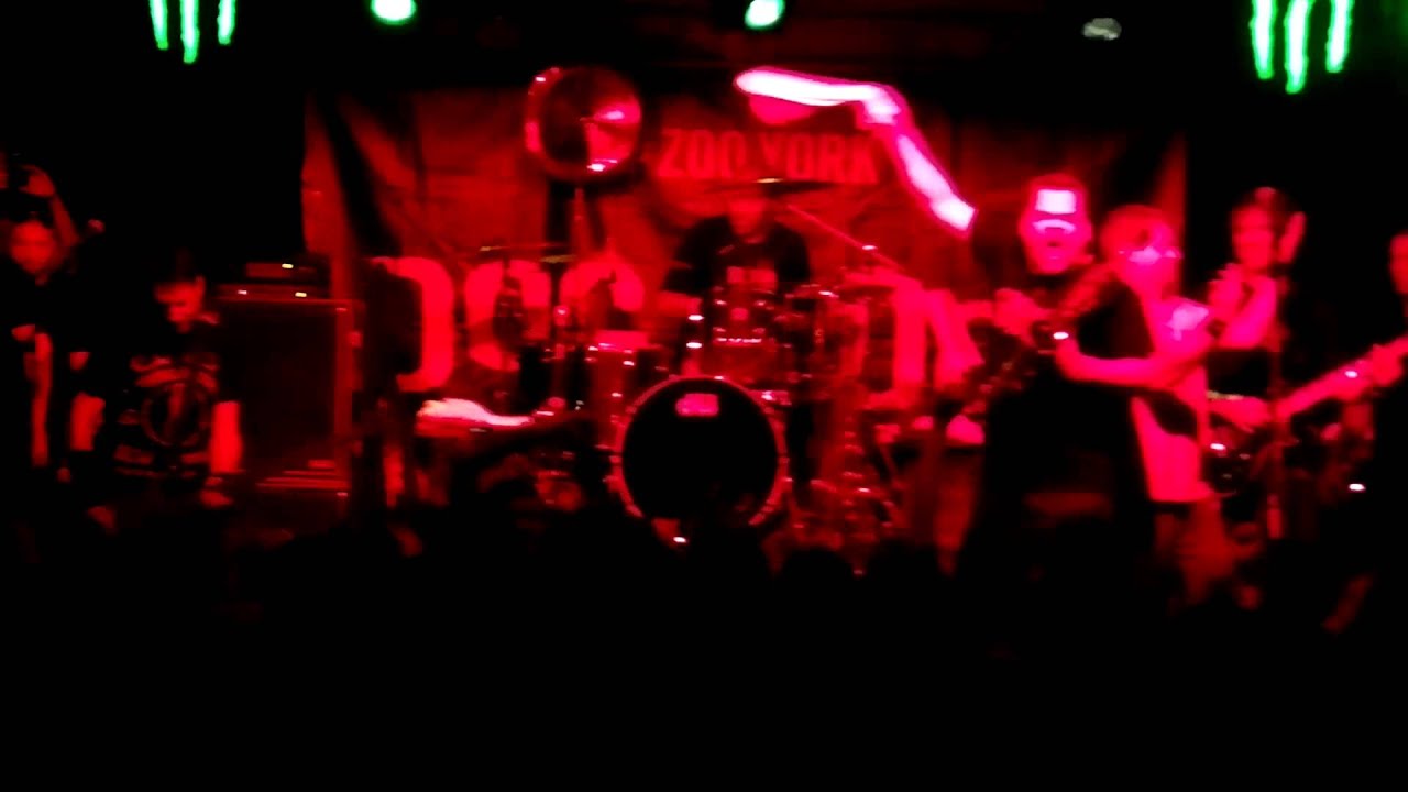 DOG EAT DOG - Who's The King (Live in Sofia - Mixtape 5 - 13 October 2013) video to gif