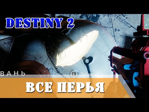 Все перья Destiny 2 С высоты птичьего полёта