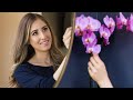 How to Care for Orchids & Keep them Alive for 10 YEARS!