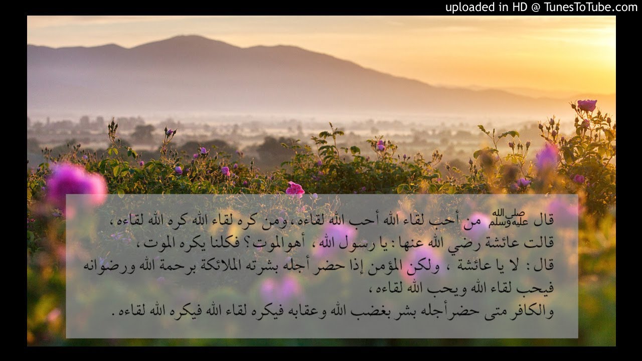 عالم الروح - الشيخ سعيد بن مسفر سلسلة مراحل الدار الآخرة بدءاً من الوفاة