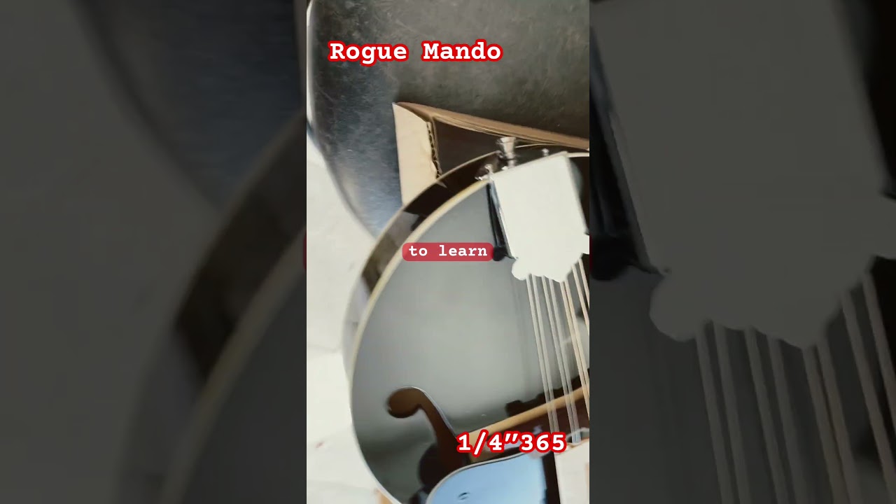 Opening the rogue Mandolin!!🤠$52 well worth it!! 
