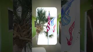 1 Melaleuca cir Ormond Beach fl 32176   #beachhouse #ormondbeach #clientfocusedresultsassured