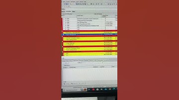 Level details in primavera for Planning engineer #shortvideo #shots #planning #primavera #skills
