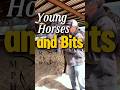 Young Horses the #fullcheeksnaffle #riding a #horse #bits #horsetraining #fyp #trainer #warmblood
