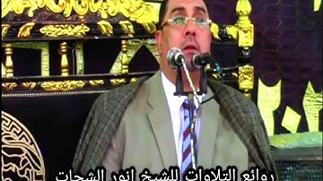 تجلي وخشوع الشيخ انورالشحات انور في سورة المائدة (وَتَعَاوَنُوا عَلَى الْبِرِّ وَالتَّقْوَىٰ ۖ )