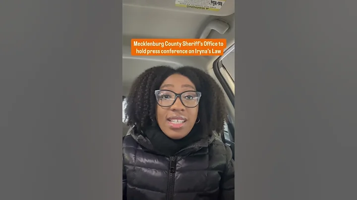 Officials to address Iryna’s Law, immigration questions after Blue Line stabbing