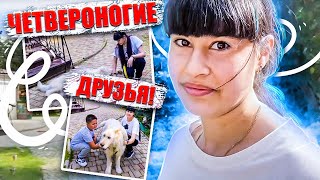 Диана Анкудинова (Diana Ankudinova) Четвероногие Друзья!🐶