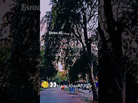 كولو الي تكولونه أحبه وحيل مجنونه Subscribe حالات واتساب Short