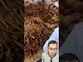 أغرب سوق في العالم في الصين محمودرستم