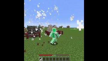 Cursed OP Wind Feather in Minecraft