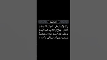 ماتيسر من سورة البقرة القارئ ياسر الدوسري #القرآن_الكريم #الفرقان #سورة_البقرة