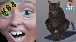 ПРИКОЛЫ 2024 смешные ВИДЕО ЧУДИКИ tiktok Funny videos №64 тест на психику, попробуй не засмеяться