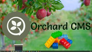 Celebrity Creating an Orchard Core CMS Module Net Worth