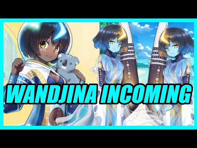 Fate/Grand Order Introduces a Culturally Insensitive Wandjina Character –  The Story Arc