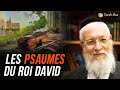 Cours du lundi  les psaumes du roi david grandrabbin josephham sitruk tehilim