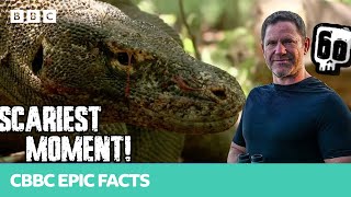 The SCARIEST Animal Encounter! 🐉 | Deadly 60 | CBBC