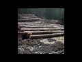 Славська ОТГ: масові вирубки лісів знищують дороги і річки